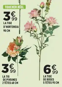 Centrakor TOUCHER RÉEL LA TIGE D'HORTENSIA offre