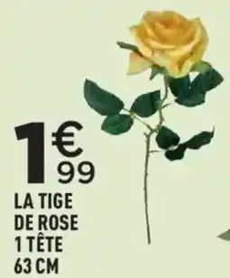 Centrakor LA TIGE DE ROSE offre