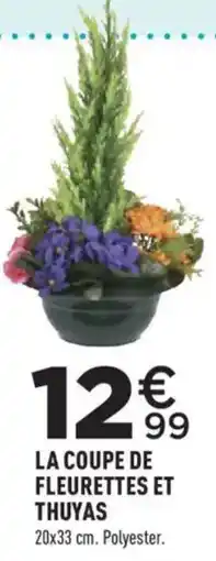 Centrakor LA COUPE DE FLEURETTES ET THUYAS offre