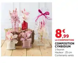 Bi1 LA COMPOSITION COMPOSITION CYMBIDIUM offre