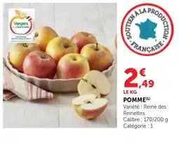 Bi1 POMME offre