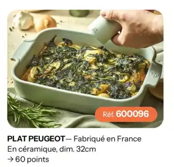 PLAT PEUGEOT