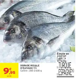 Intermarché Contact DORADE ROYALE D'ÉLEVAGE offre