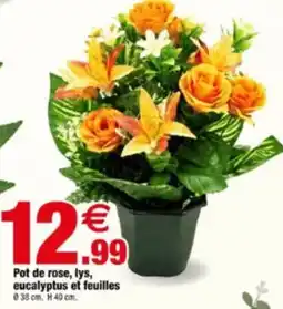 Bazarland Pot de rose, lys, eucalyptus et feuilles offre