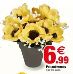 Bazarland Pot anémones offre