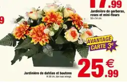 Bazarland Jardinière de dahlias et boutons offre
