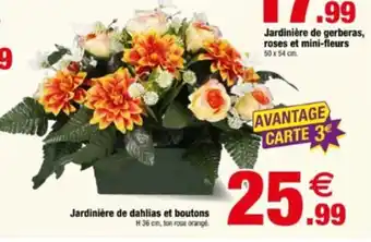 Jardinière de dahlias et boutons