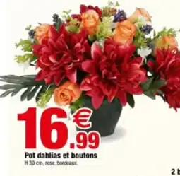 Bazarland Pot dahlias et boutons offre