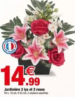 Bazarland Jardinière 3 lys et 3 roses offre