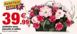 Bazarland Jardinière roses, amaryllis et œillets offre
