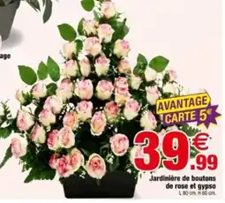 Bazarland Jardinière de boutons de rose et gypso offre