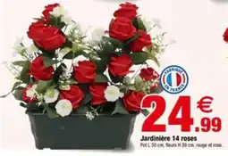 Bazarland Jardinière 14 roses offre