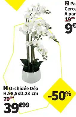 Conforama Orchidée Déa offre