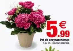 Bazarland Pot de chrysanthèmes offre