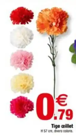 Bazarland Tige œillet offre