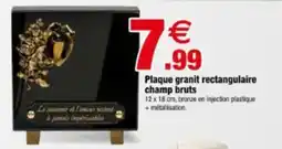 Bazarland Plaque granit rectangulaire champ bruts offre