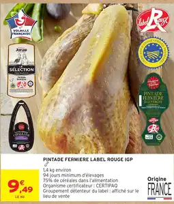 Intermarché Janze Pintade Fermière offre