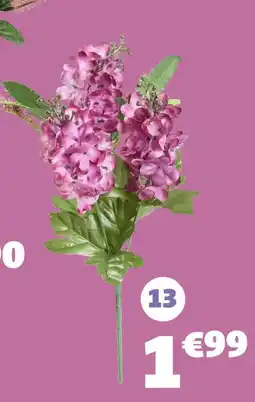 GiFi Piquet lilas 5 têtes offre