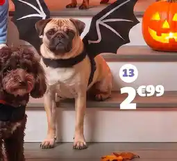 GiFi Déguisement chauve-souris offre