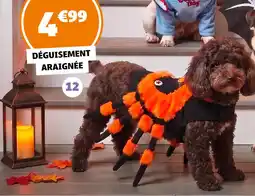 GiFi Déguisement araignée offre