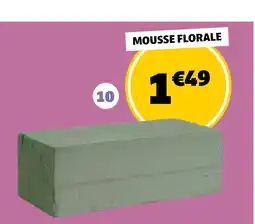 GiFi Mousse florale offre