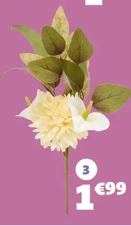 GiFi Piquet chrysanthèmes et arums offre