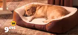 GiFi Couchage chien/chat offre