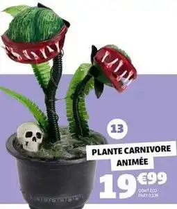GiFi Plante carnivore animée offre