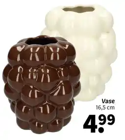 Wibra Vase offre