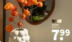 Wibra Coupe offre