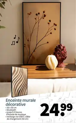Wibra Enceinte murale décorative offre
