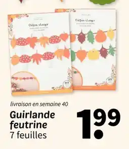 Wibra Craftlab Guirlande feutrine offre