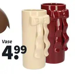 Wibra Vase offre