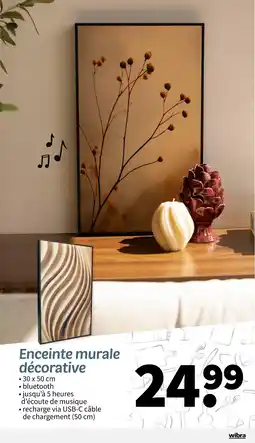 Wibra Enceinte murale décorative offre