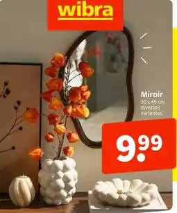 Wibra Miroir offre