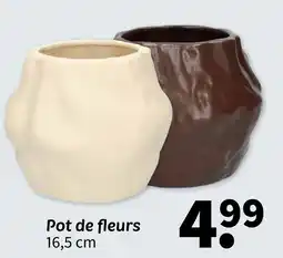 Wibra Pot de fleurs offre