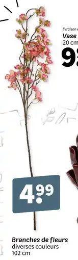 Wibra Branches de fleurs offre