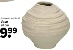 Wibra Vase offre