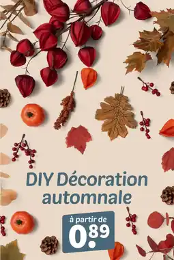 Wibra Diy décoration automnale offre