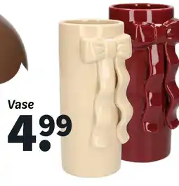 Wibra Vase offre