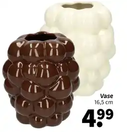 Wibra Vase offre