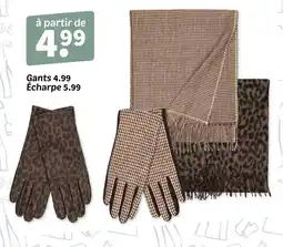 Wibra Gants offre