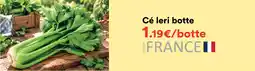 Hmarket Céleri botte offre