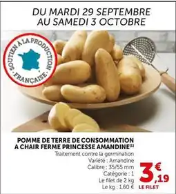 Bi1 Princesse amandine - pomme de terre de consommation a chair ferme offre