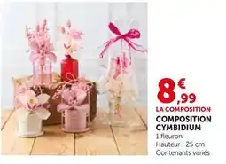 Bi1 Composition cymbidium offre