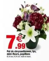 Bazarland Pot de chrysanthèmes, lys, mini-fleurs, papillons offre