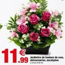 Bazarland Jardinière de boutons de rose, alstroemerias, eucalyptus offre