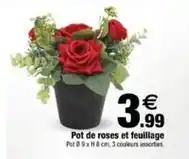 Bazarland Pot de roses et feuillage offre