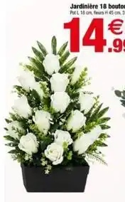 Bazarland Jardinière 18 bouton offre