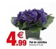 Bazarland Pot de violettes offre